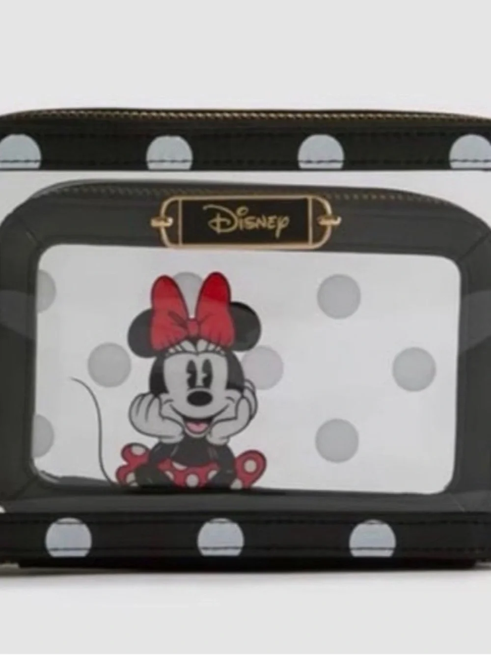 Disney Minnie Mouse Black, White & Red Clear Cosmetic Case